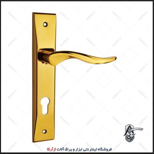 دستگیره سوئیچی 552-24 طلایی کارو